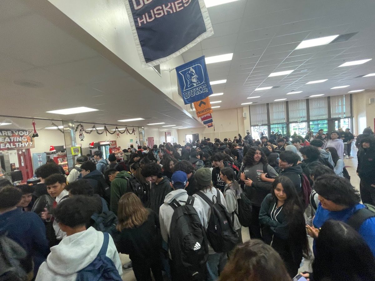 The Lunch Line Dilemma